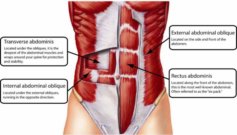 Gravid-magetrening og diastase