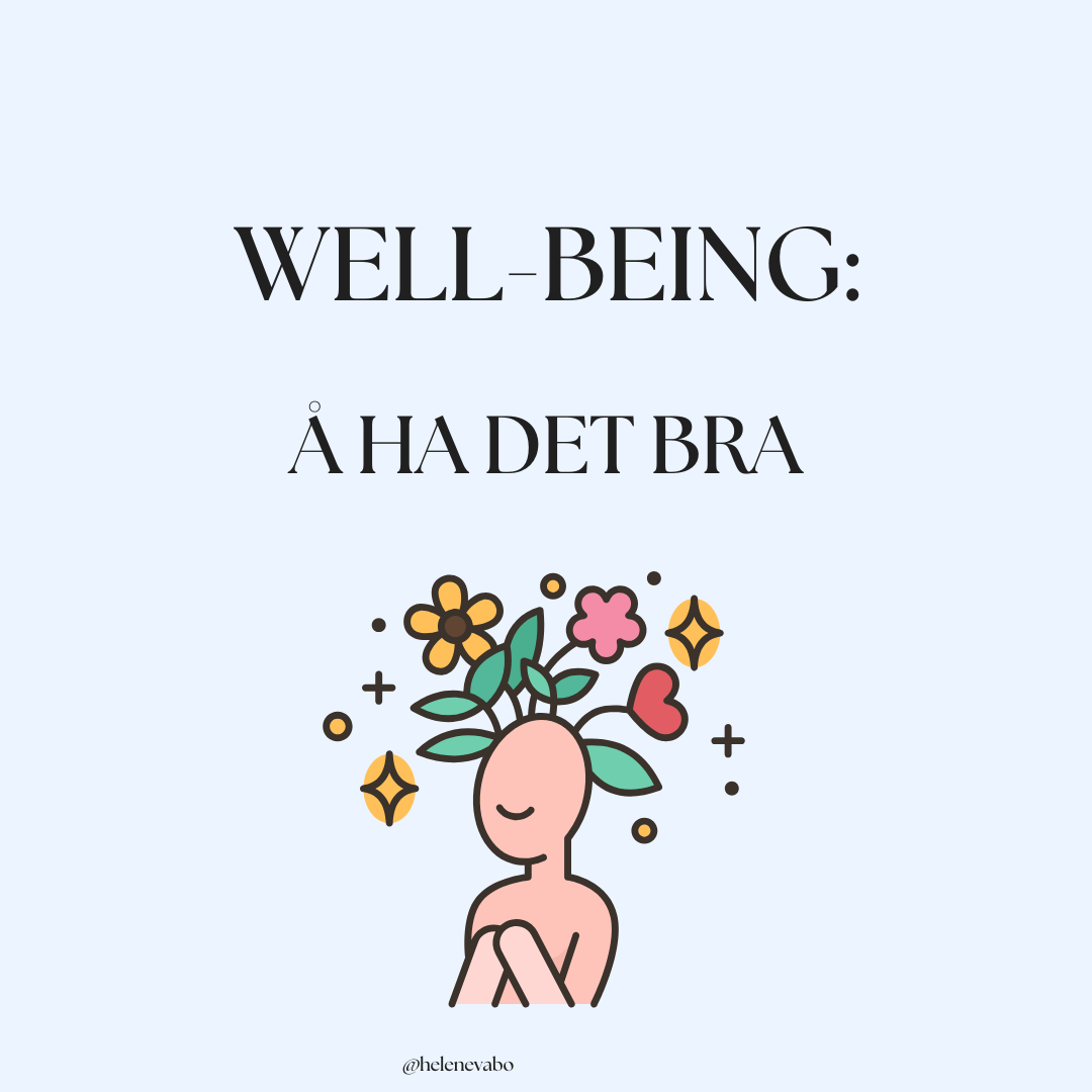 Well-being: å ha det bra